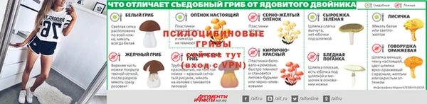 стафф Богданович