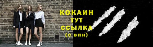 стафф Богданович