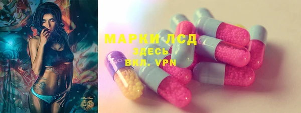 mdpv Богородицк