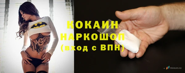 mdpv Богородицк