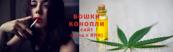 mdpv Богородицк