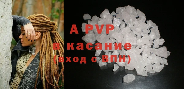 стафф Богданович