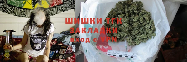 mdpv Богородицк