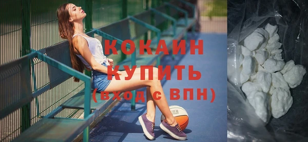 стафф Богданович