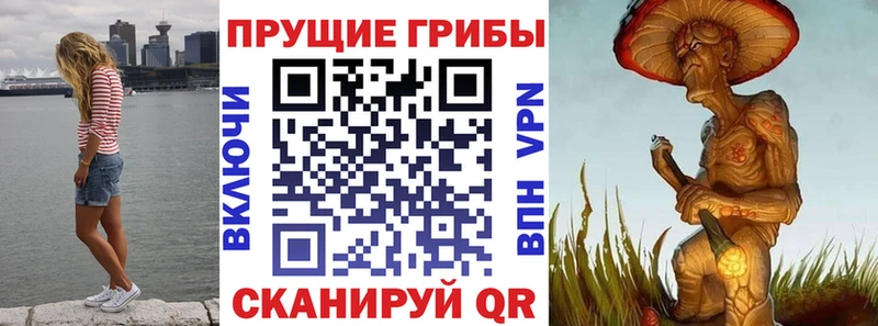 где продают наркотики Мещовск Галлюциногенные грибы MAGIC MUSHROOMS